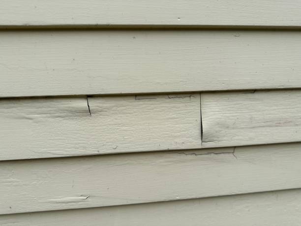 Best Foreclosure Cleanout  in Nanticoke, PA